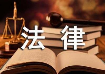 分公司章程的法律责任