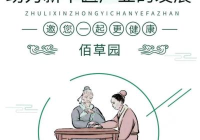 佰草园，创始首码对接各大团队，守护+多层星级扶持福利