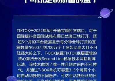 3~5年平台禾枫跨境~海外d音TIKTOK财f盒子自动收米~直属兜底