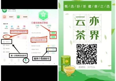 云亦茶界首码！可转赠可提现！金*或者贡献值都可以转赠！兑换话费