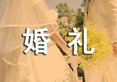 空中婚礼商业计划书