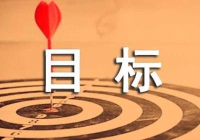 测试：你的事业目标是什么