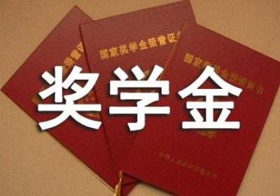 天津大学生创业可获奖学金