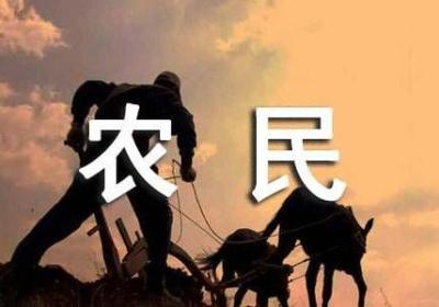 复旦高材生回乡创业当农民