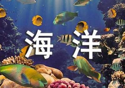 彭海洋创业：美丽的小花匠