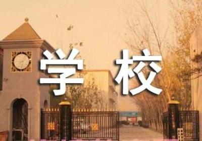 访谈：学校对创业的影响