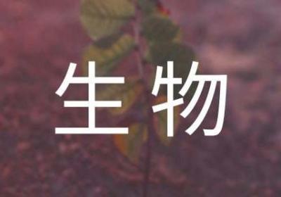 生物防治有限公司创业计划书