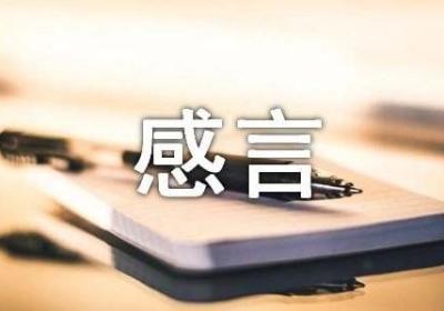 “纯商人”的经商感言