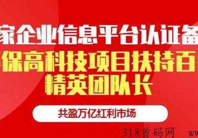 中德睿智，政策扶持，认证，环保高科技项目，长期稳定