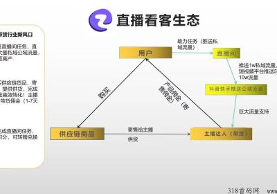 直播看客，新型双模式运营项目