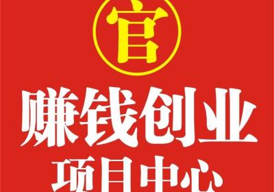 双迪六核波小神器，拿牌直销公司，家家必备，建立10年持续收益