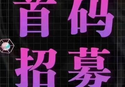 掘金之旅加强版，创新的模式，预计一周后出资料，对接团队长