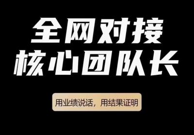 掘金之旅升级版，总部一手对接，实体落地项目，跨年项目，扶持高