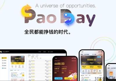 2023最强搬砖，每单LR10%只需50周转z金起！跑跑pay yyds