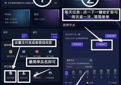 星探盲盒，总部对接，全网对接团队，实体公司，可实地考察