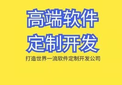 专业R件定制开发，实体开发公司，小程序都能做