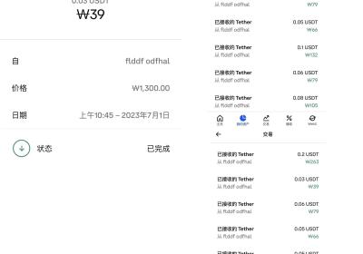 跨境玩游戏钻美金，单电脑轻松赚米，无需手动