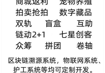 专业开发各种系统，仿盘，项目，实体开发公司更靠谱，有需求就能开发