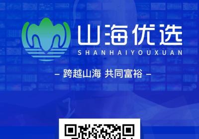 山海优选，优质王者实体卷轴，重金扶持四位团队长，长久稳定，等你来战