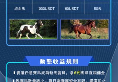 香港新马会项目首码团队对接，团队整线扶持50一人！