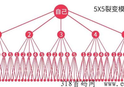 大表哥天花板项目，最高收益，奖励巨丰富5×5滑落，10W团队等你入座