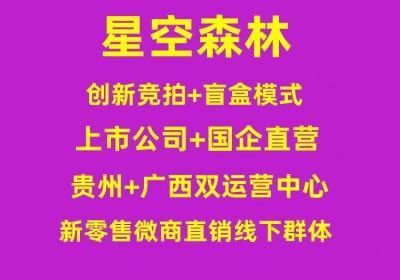 星空森林，总部对接，全新模式，扶持待遇高，全网对接团队！