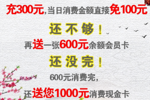 【经典案例】充300元得300送300再返1000元现金