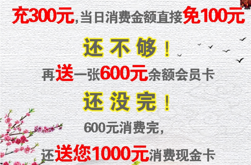 【经典案例】充300元得300送300再返1000元现金