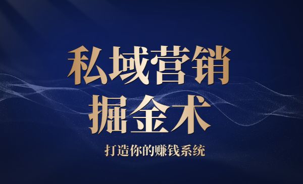 私域营销掘金术 打造你的赚钱系统