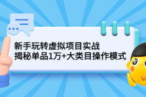 （0499期）新手玩转虚拟项目实战，揭秘单品1万+大类目操作模式【视频课程】