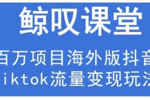 （0559期）鲸叹号·海外TIKTOK训练营，百万项目海外版抖音tiktok流量赚钱玩法