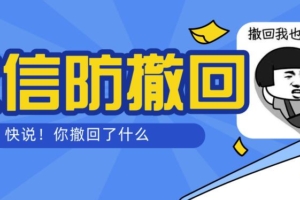 （1079期）智微微信多开防撤回助手一键免扫码登录（永久免费电脑版+教程）