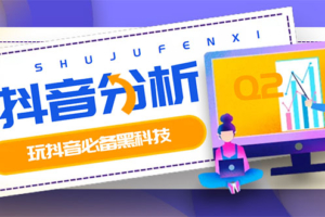 （1241期）最新版抖音分析师，养号分析+违规词检查+dou+效果分析+作品权重检测(永久版)