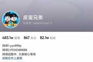 （1353期）沙雕动画·皮蛋兄弟·熊猫人动画教学制作，全套素材文案教程分享！