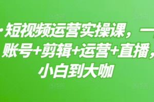 （1411期）晨哥·短视频运营实操课，一部手机，账号+剪辑+运营+直播，从小白到大咖
