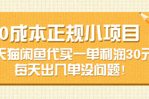 （1640期）0成本正规小项目：天猫闲鱼代买一单利润30元，每天出几单没问题！