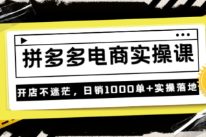 （1678期）不灭电商·《拼多多电商实操课》开店不迷茫，日销1000单+实操落地