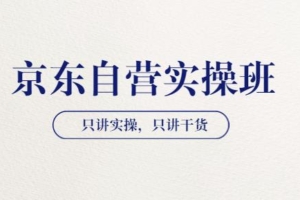 （1779期）【京东自营实操班】只讲实操，只讲干货（28小时课程-共2期）价值4980