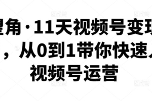 （1877期）好望角·11天视频号变现训练营，从0到1带你快速入门视频号运营