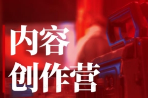 （2005期）休斯·内容创作营2.0，掌握快速做出账号定位的技巧，做出的同行具有差距化的账号