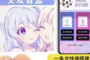 （2061期）搭建交友盲盒网站，号称一天300—500＋【源码+教程】
