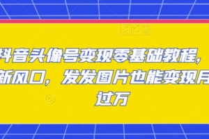 （2135期）余温·抖音头像号变现零基础教程，全新风口，发发图片也能变现月入过万