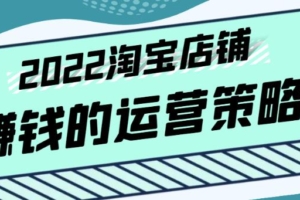 （2301期）震宇老师·2022年淘宝店铺赚钱的运营策略，一套能够盈利的赚钱打法