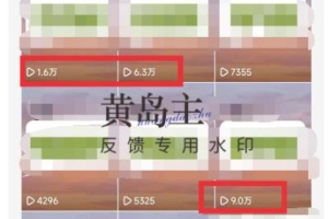 （2530期）黄岛主·副业孵化营第5期：抖音情感中视频变现项目孵化单条视频收益几十上百