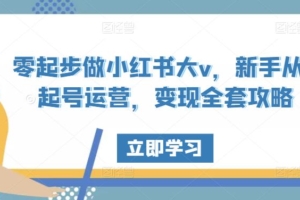 （2766期）零起步做小红书大v，新手从0起号运营，变现全套攻略