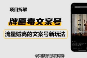 （2890期）2023抖音快手毒文案新玩法，牌匾文案号，起号快易变现