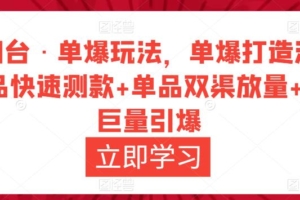 （2981期）万相台·单爆玩法，单爆打造流程+单品快速测款+单品双渠放量+単品巨量引爆