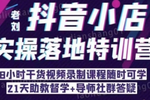 （3138期）抖音小店实操落地特训营：抖音小店无货源精细化运营，抖店商品卡流量（22节）