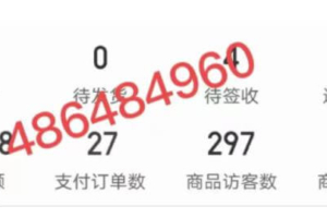 （3160期）淘k·拼多多虚拟开店打卡群：一群人同行快过一个人单独摸索（昨日群里有小伙伴日入3000+）（更新2.26日）