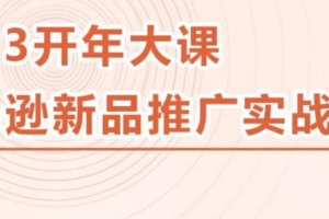 （3179期）2023亚马逊新品推广实战技巧，线下百万美金课程的精简版，简单粗暴可复制，实操性强的推广手段